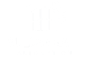 Vulcan Gate Automation
